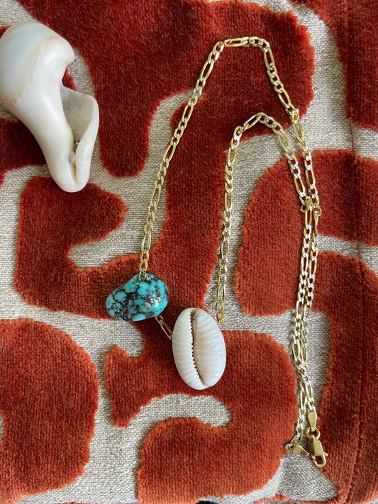 Turquoise Cowrie